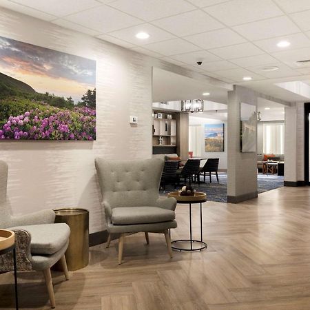 Comfort Inn & Suites Brevard Kültér fotó